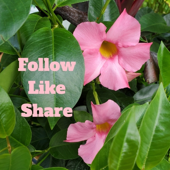 ๐ Please follow my new game. Thank you for your support. - Picture 3 of 9